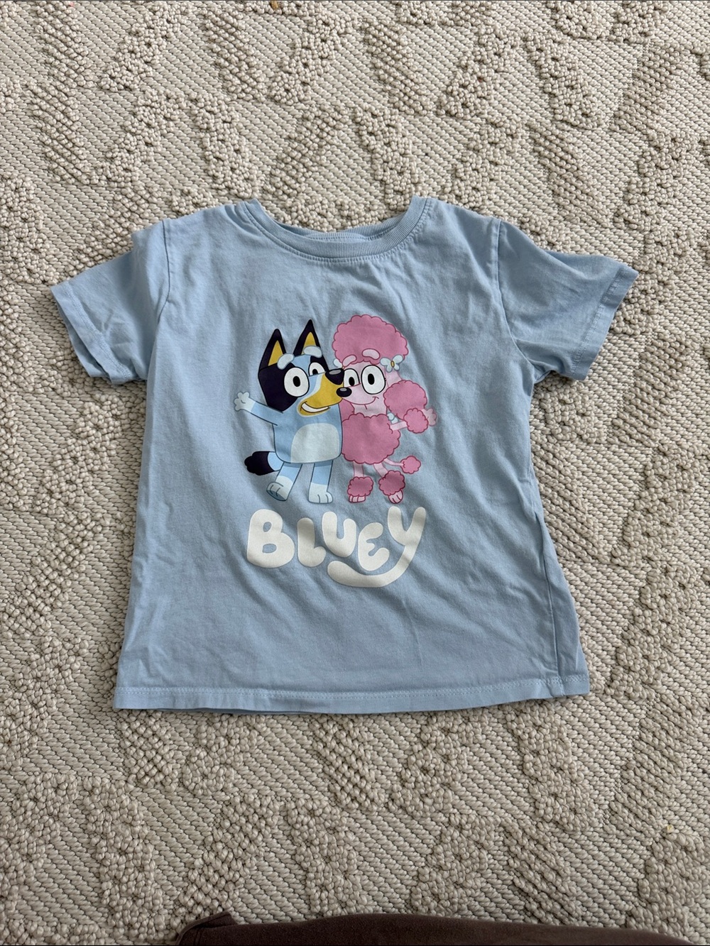 H&M Light Blue Kids Tee with Pink Poodle Graphic